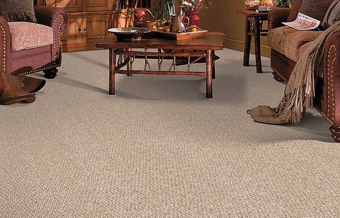 How To Clean A Berber Carpet Lux Living Blog how-to-clean-a-berber-carpet-lux-living-blog