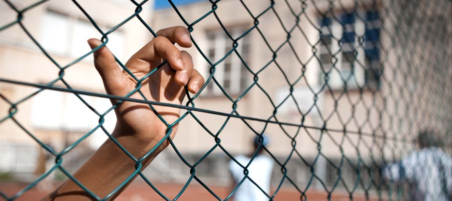 Chain Link Fencing