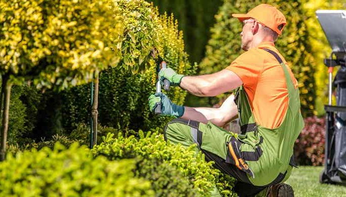 5 Reasons You Should Be Thinking About Landscaping