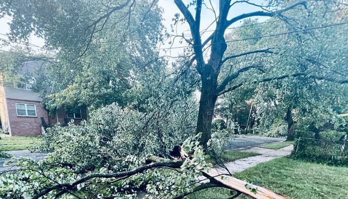 7 Pro Tips For Restoring Your Landscaped Garden After A Damaging Storm