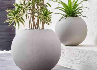 Choosing the Right Size Pot for Your Plant: A Gardener's Guide